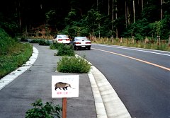 �k�J���́u�A�i�O�}���f���Ӂv�̕W��