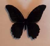 �i�K�T�L�A�Q�n�̃I�X